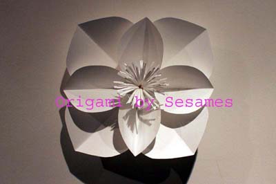 WWW.SESAMES.CO.UK - London Amsterdam Origami Florist - Paper Origami ...